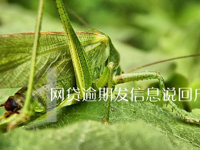 网贷逾期发信息说回户籍地传唤 网贷逾期发信息说回户籍地传唤