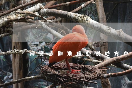网贷逾期发信息说地方户籍起诉 网贷逾期发信息说地方户籍起诉
