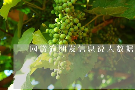 网贷逾期发信息说大数据仲裁 网贷逾期发信息说大数据仲裁