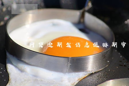 网贷逾期发信息说排期审核 网贷逾期发信息说排期审核