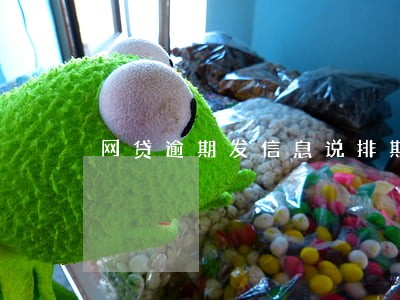 网贷逾期发信息说排期诉讼 网贷逾期发信息说排期诉讼
