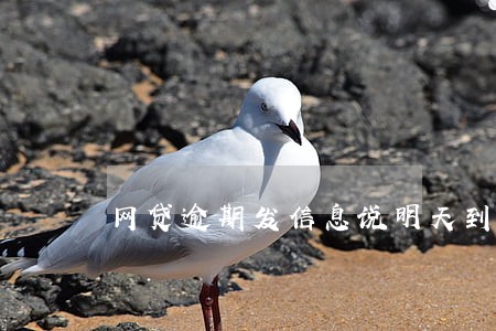 网贷逾期发信息说明天到访 网贷逾期发信息说明天到访