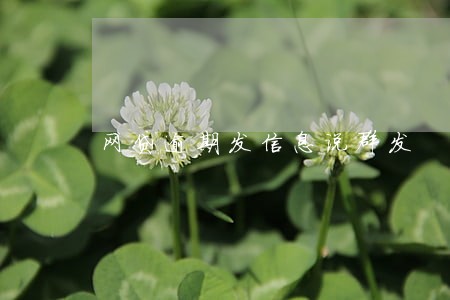 网贷逾期发信息说群发 网贷逾期发信息说群发