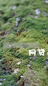 网贷逾期发信息说要冻结财产 网贷逾期发信息说要冻结财产