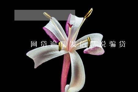 网贷逾期发信息说骗贷 网贷逾期发信息说骗贷