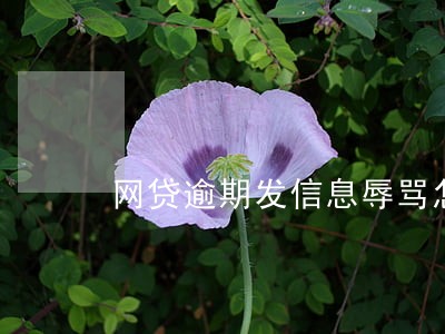 网贷逾期发信息辱骂怎么办 网贷逾期发信息辱骂怎么办