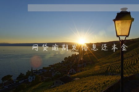 网贷逾期发信息还本金 网贷逾期发信息还本金