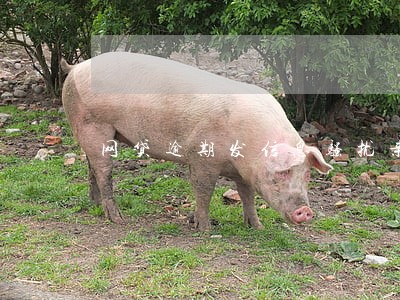 网贷逾期发信息骚扰亲戚 网贷逾期发信息骚扰亲戚