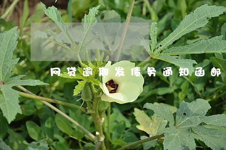 网贷逾期发债务通知函邮件 网贷逾期发债务通知函邮件