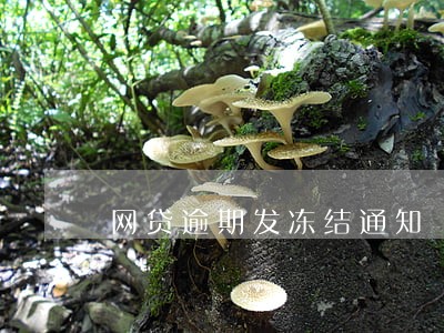 网贷逾期发冻结通知 网贷逾期发冻结通知