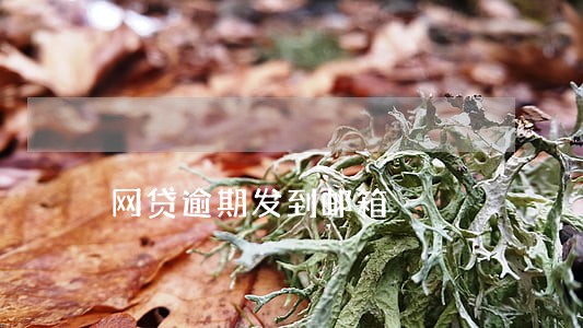 网贷逾期发到邮箱 网贷逾期发到邮箱