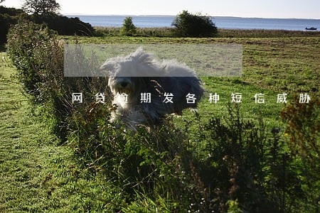 网贷逾期发各种短信威胁是真的吗 网贷逾期发各种短信威胁是真的吗