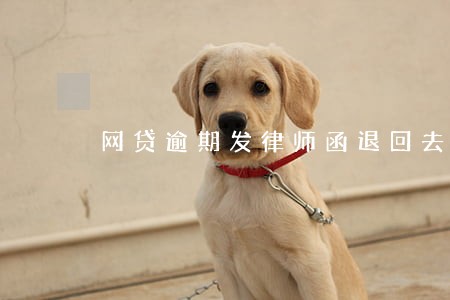网贷逾期发律师函退回去了 网贷逾期发律师函退回去了