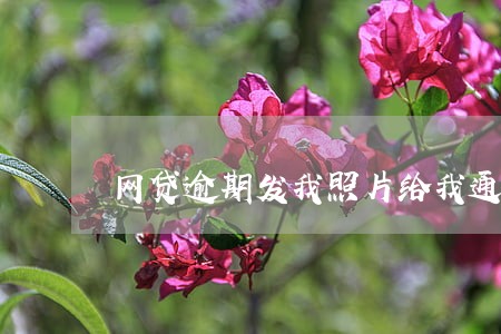 网贷逾期发我照片给我通讯录朋友 网贷逾期发我照片给我通讯录朋友