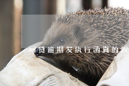 网贷逾期发执行函真的假的 网贷逾期发执行函真的假的