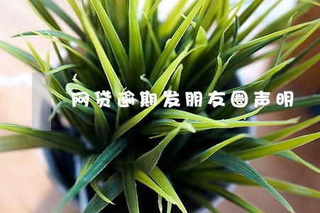 网贷逾期发朋友圈声明 网贷逾期发朋友圈声明