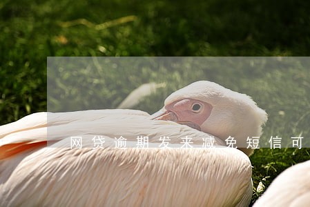 网贷逾期发来减免短信可靠吗 网贷逾期发来减免短信可靠吗