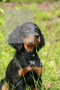 网贷逾期发来庭前取证的信息 网贷逾期发来庭前取证的信息