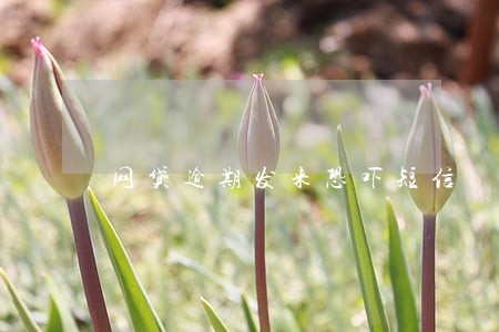 网贷逾期发来恐吓短信 网贷逾期发来恐吓短信