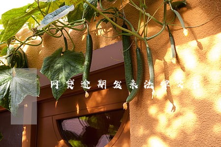 网贷逾期发来法律文书 网贷逾期发来法律文书