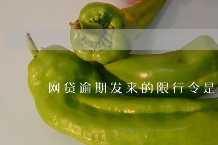 网贷逾期发来的限行令是真的吗 网贷逾期发来的限行令是真的吗