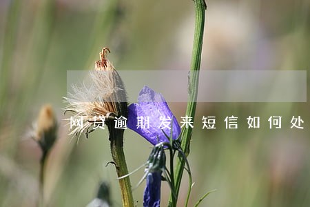 网贷逾期发来短信如何处理 网贷逾期发来短信如何处理