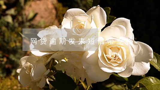 网贷逾期发来短信带空格 网贷逾期发来短信带空格