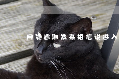 网贷逾期发来短信说进入申诉阶段 网贷逾期发来短信说进入申诉阶段