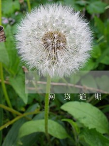 网贷逾期发来诉前保全 网贷逾期发来诉前保全