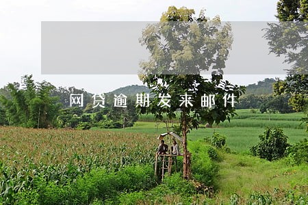 网贷逾期发来邮件 网贷逾期发来邮件