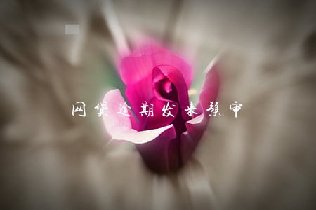 网贷逾期发来预审 网贷逾期发来预审