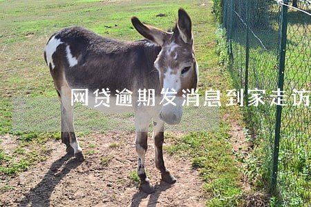 网贷逾期发消息到家走访 网贷逾期发消息到家走访