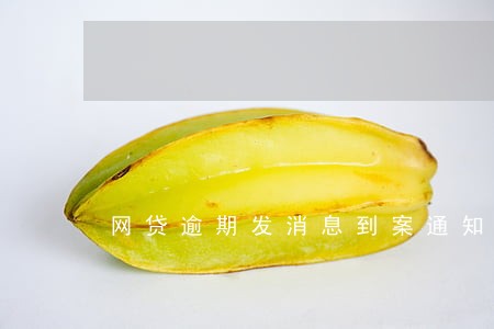 网贷逾期发消息到案通知 网贷逾期发消息到案通知