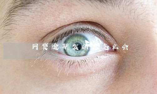网贷逾期发消息怎么会 网贷逾期发消息怎么会