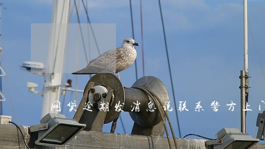 网贷逾期发消息说联系警方上门 网贷逾期发消息说联系警方上门