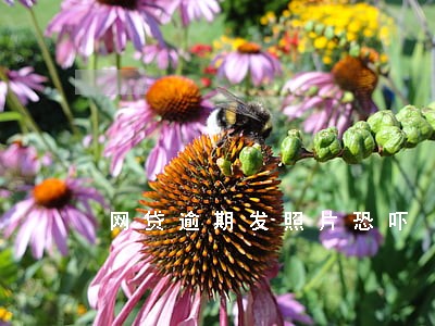 网贷逾期发照片恐吓 网贷逾期发照片恐吓