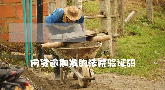 网贷逾期发的法院验证码 网贷逾期发的法院验证码