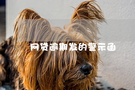 网贷逾期发的警示函 网贷逾期发的警示函