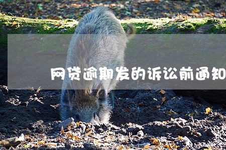 网贷逾期发的诉讼前通知是真的吗 网贷逾期发的诉讼前通知是真的吗