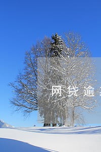 网贷逾期发的通告函 网贷逾期发的通告函