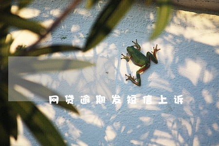 网贷逾期发短信上诉