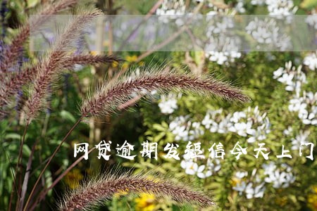 网贷逾期发短信今天上门 网贷逾期发短信今天上门