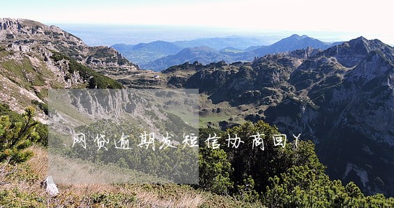 网贷逾期发短信协商回Y 网贷逾期发短信协商回Y
