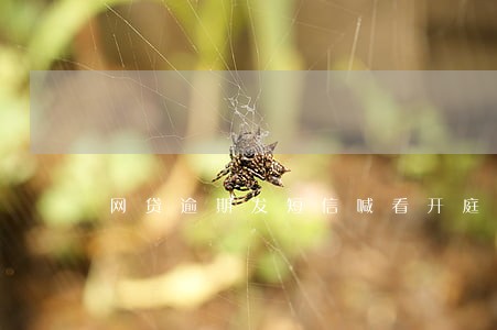 网贷逾期发短信喊看开庭时间 网贷逾期发短信喊看开庭时间
