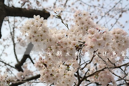 网贷逾期发短信对接事宜 网贷逾期发短信对接事宜