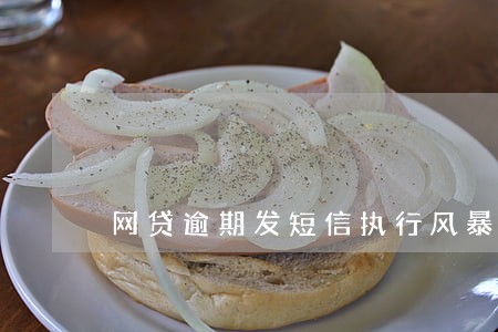 网贷逾期发短信执行风暴 网贷逾期发短信执行风暴