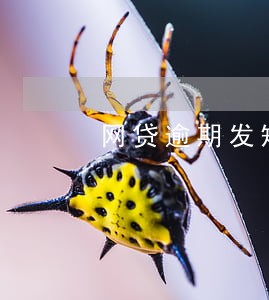 网贷逾期发短信给亲戚 网贷逾期发短信给亲戚