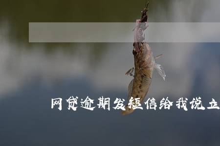 网贷逾期发短信给我说立案调查