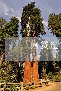 网贷逾期发短信要冻结 网贷逾期发短信要冻结