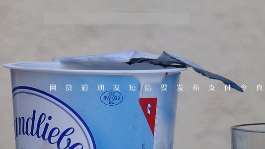 网贷逾期发短信要发布支付令真假
